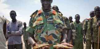 Afrikas nye æra af krig: Én graf fortæller historien afrikas-nye-ra-af-krig-n-graf-fortller-historien