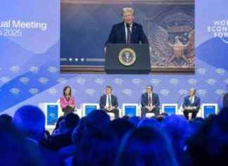 Bocian: Trumps selskabsskat sænkning kan inspirere andre lande bocian-trumps-selskabsskat-snkning-kan-inspirere-andre-lande