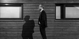 Forventninger til årets udbytte fra aktier: Så meget kan du forvente at få forventninger-til-rets-udbytte-fra-aktier-s-meget-kan-du-forvente-at-f