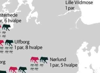 Sikring af Boligsikkerhed i Ulveland: Venstre Politiker i Jylland sikring-af-boligsikkerhed-i-ulveland-venstre-politiker-i-jylland