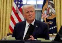 Tilpasning af danske virksomheder til Trumps uforudsigelige verden tilpasning-af-danske-virksomheder-til-trumps-uforudsigelige-verden
