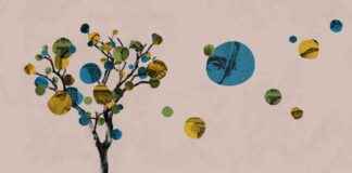 Top 6 børsnoteringer at holde øje med i 2025 top-6-brsnoteringer-at-holde-je-med-i-2025