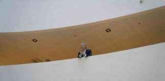 Pensionsboss udfordrer Trump: Skift til grønnere investeringer pensionsboss-udfordrer-trump-skift-til-grnnere-investeringer