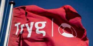 Topforsikringsselskab Tryg overgår konkurrenterne med topform. topforsikringsselskab-tryg-overgr-konkurrenterne-med-topform