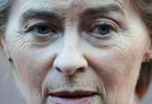 Analyse: Militant EU-chef vil have et stålpindsvin i Ukraine analyse-militant-eu-chef-vil-have-et-stlpindsvin-i-ukraine