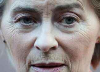 Analyse: Militant EU-chef vil have et stålpindsvin i Ukraine analyse-militant-eu-chef-vil-have-et-stlpindsvin-i-ukraine