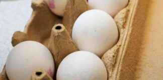 Æggebakkefirma udfordres af toldsatser: Kunden kan forvente prisstigninger ggebakkefirma-udfordres-af-toldsatser-kunden-kan-forvente-prisstigninger