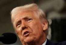 Trump udskyder biltold på Mexico og Canada: Alt du behøver at vide trump-udskyder-biltold-p-mexico-og-canada-alt-du-behver-at-vide