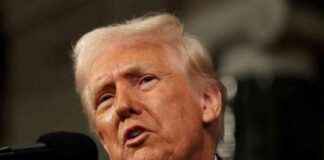 Trump udskyder biltold på Mexico og Canada: Alt du behøver at vide trump-udskyder-biltold-p-mexico-og-canada-alt-du-behver-at-vide