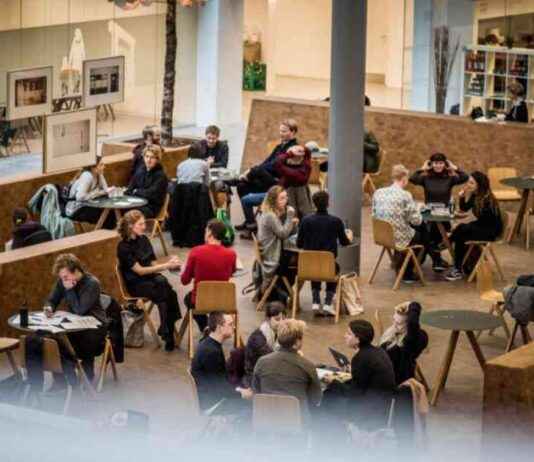 Udfordringer for unge i jobfesten: Arbejdsgiverne kræver handling udfordringer-for-unge-i-jobfesten-arbejdsgiverne-krver-handling