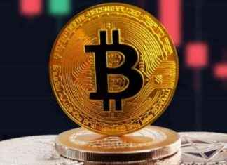 Bitcoin-rallyen trukket af institutioner: Analytiker bekræfter Bitcoin kursmål på 210.000 dollar. bitcoin-rallyen-trukket-af-institutioner-analytiker-bekrfter-bitcoin-kursml-p-210000-dollar