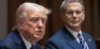 Bocian: Fremskridt, men ikke optimalt bocian-fremskridt-men-ikke-optimalt