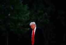 Trump anbefaler 50% told på EU: Ingen forhandlinger i sigte trump-anbefaler-50-told-p-eu-ngen-forhandlinger-i-sigte