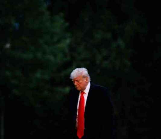 Trump anbefaler 50% told på EU: Ingen forhandlinger i sigte trump-anbefaler-50-told-p-eu-ngen-forhandlinger-i-sigte