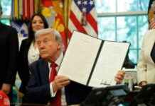 Trump’s break – USA’s royal numbers hold steady trumps-break-usas-royal-numbers-hold-steady