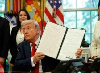 Trump’s break – USA’s royal numbers hold steady trumps-break-usas-royal-numbers-hold-steady