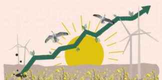 Vinderaktier til investorer: Slutningen på den grønne aktiekrise vinderaktier-til-investorer-slutningen-p-den-grnne-aktiekrise