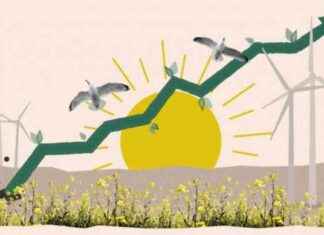 Vinderaktier til investorer: Slutningen på den grønne aktiekrise vinderaktier-til-investorer-slutningen-p-den-grnne-aktiekrise